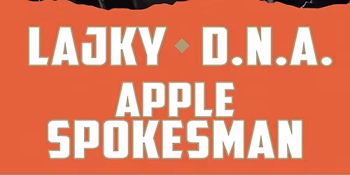 V\u00e1no\u010dn\u00ed koncert 2025