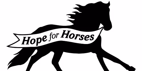 Biltmore Fall Endurance Ride to Benefit Hope for Horses