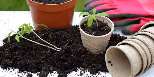 Byt fr\u00f6er och sticklingar p\u00e5 bibblan