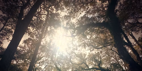 Spring 2026 Ossabaw Writers\u2019 Retreat