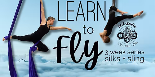 Learn to Fly: Intro to Aerial Arts