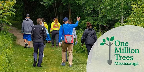 Fall Guided Walk at Jack Darling Memorial Park