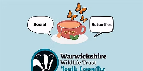 Social Butterflies- Community Event for 18-30s