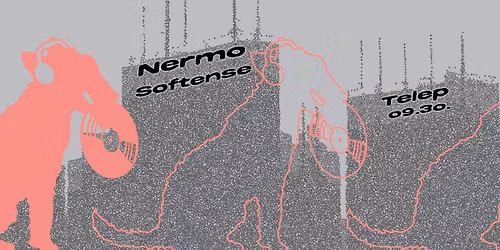 Softense x Nermo All Night Long at TELEP