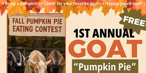 Goat Pumpkin Pie Eating Contest