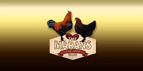 The Marans Club Special Meets @ the Red Stick Poultry Club Show (Double Show)
