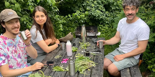 Selvforsynende med Urtete\/Become self-sufficient with herbal tea