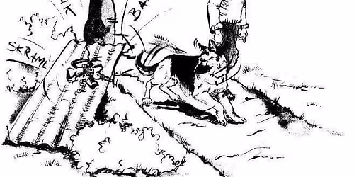 NSchK avd. Oslo inviterer til Karaktertest (K-test)