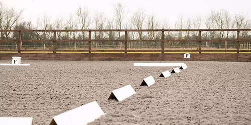 Test and Train Clinic with Kim Darlow