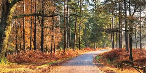 Autumn Mystery Tour inc 2 - Course Carvery Lunch \u00a348.00p.p