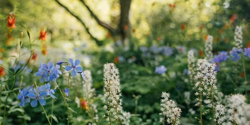 Guiding Naturalistic Gardens into Maturity