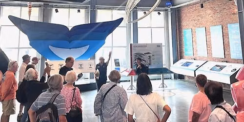 Walking Tour: Exploring Extraordinary Whales