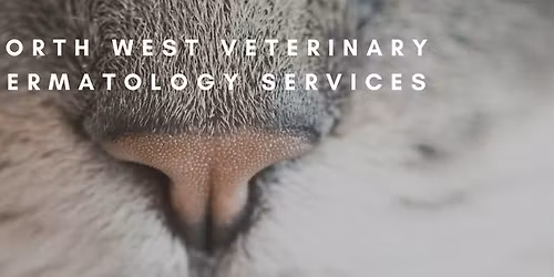 NWVDS Dermatology Forum