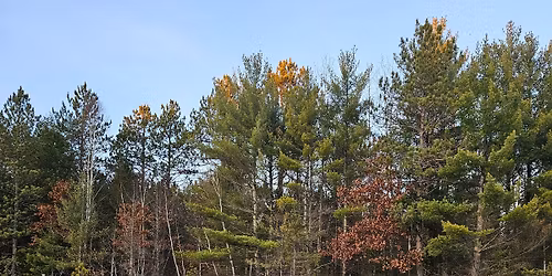 Magic of Rain Family Hike with Life of a Water Drop Game