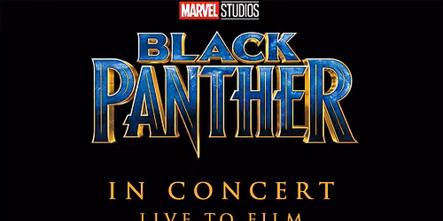 Black Panther In Concert