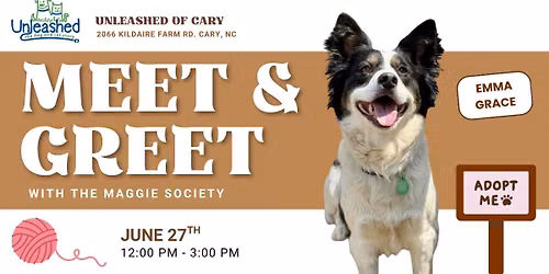 Meet and Greet with The Maggie Society