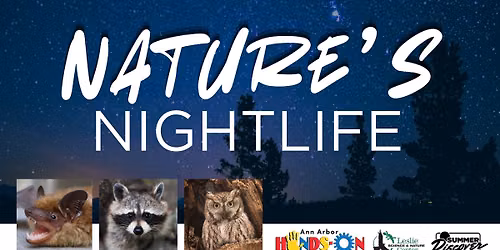 Nature's Nightlife