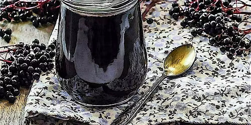 Elderberry Immune Health Event Nov 22nd