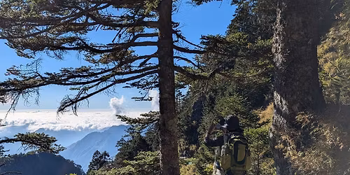 \u7389\u5c71\u4e3b\u5cf0\u591c\u5bbf\u6392\u96f2\u5c71\u838a*\u63d0\u524d\u5be6\u540d\u62bd\u7c64