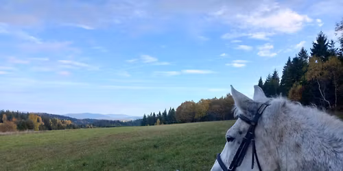 Rajd Niepodleg\u0142o\u015bciowy 11 listopada