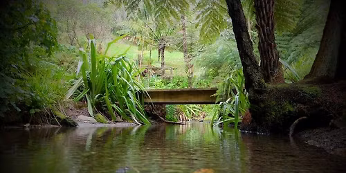 Water, Wind and Wood - Part 2 - Guided Walk