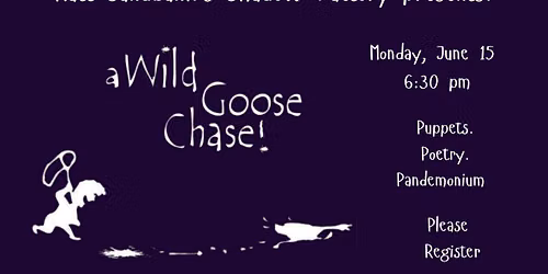 Matt Sandbank's Shadow Factory: A Wild Goose Chase!