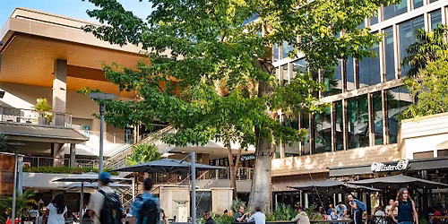 CocoKIDS: Storytime with the Coconut Grove Branch Library