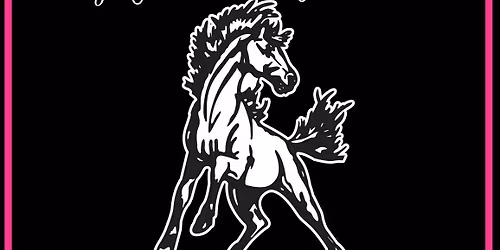 EMES PTO Spirit Night at Sharkey\u2019s