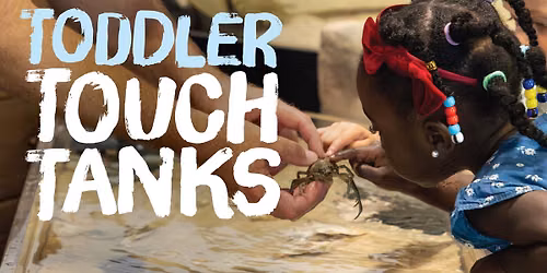 Toddler Touch Tanks