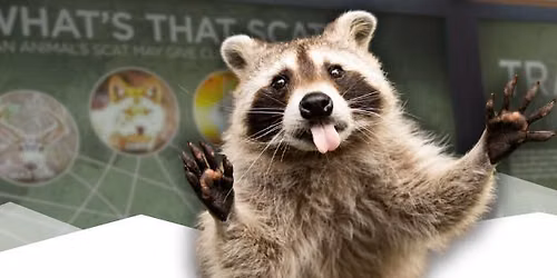 The Art of Animal Tracking