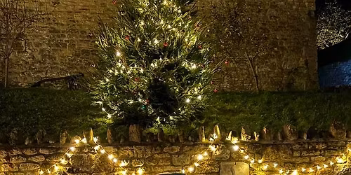 Christmas light switch on