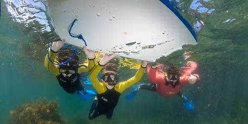 Ng\u0101motu Community Snorkel Day - Experiencing Marine Reserves