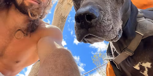 Park games like the good ol days