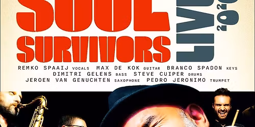 THE SOUL SURVIVORS IN CONCERT (NL)