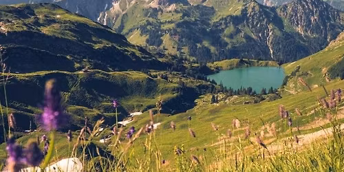 Mit dem Rad durchs Allg\u00e4u - Zwischen Alpenpanorma, gr\u00fcnen Wiesen und barocken Kl\u00f6stern