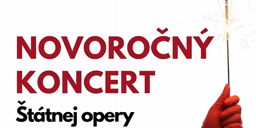 Novoro\u010dn\u00fd koncert \u0160t\u00e1tnej opery