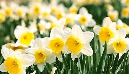 Lighthouse Spring Retreat 2026 SOLD OUT