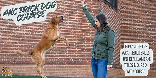 AKC Trick Dog Course