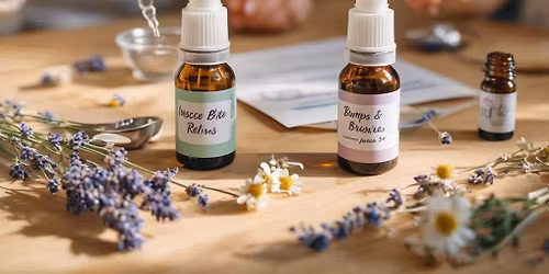 \ud83c\udf3f Atelier DIY : roll-on bio piq\u00fbres d\u2019insectes & coups et bosses