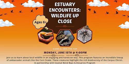 Estuary Encounters:  Wildlife Up Close