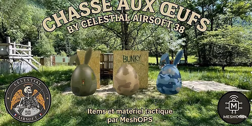 CHASSE AU OEUF By CELESTIAL AIRSOFT 38