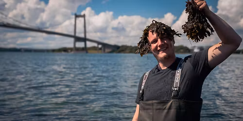 Smag p\u00e5 tang fra Lilleb\u00e6lt