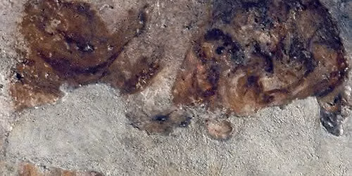 Catacomba di Priscilla: Visita Guidata