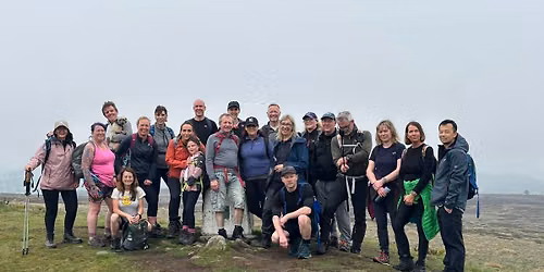 Wellbeing Walk - 5 Miles on Cannock Chase