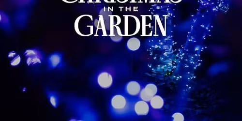 Christmas in the Garden at the Fort Worth Botanic Garden