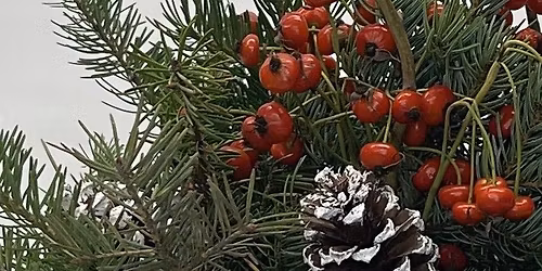 Winter Porch Pot Workshop - CLASS IS FULL