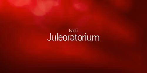 Bach Juleoratorium - Holmens Kirke