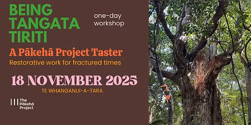 Being Tangata Tiriti: a P\u0101keh\u0101 Project Taster (Wellington)