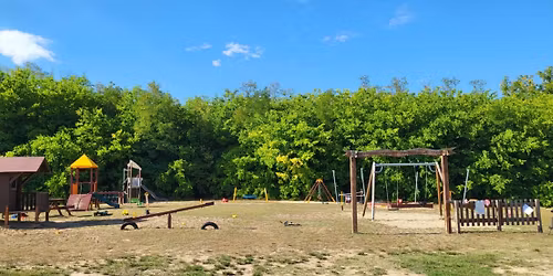 Fa\u00fcltet\u00e9s a Ligetekben