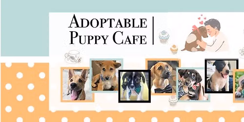 The Adoptable Puppy Cafe